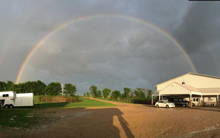 at Ameritina Polo Farm